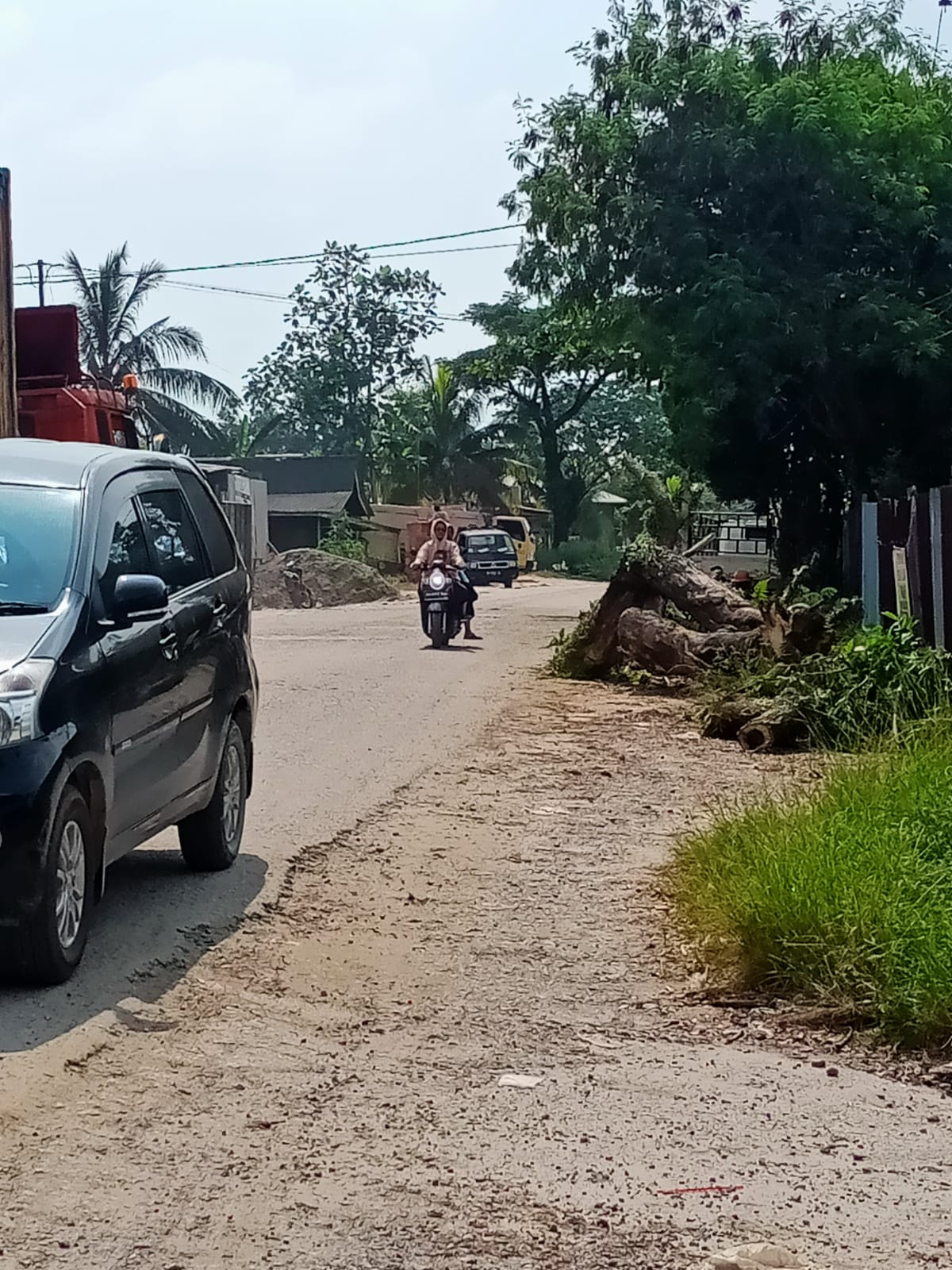 Pohon Tumbang Halangi Kendaraan Di Jalan Bunut. Penghulu Heri : Lalin Sudah Lancar Kembali